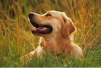 《光环：无限》每三个月就会有新赛季＆常规事件